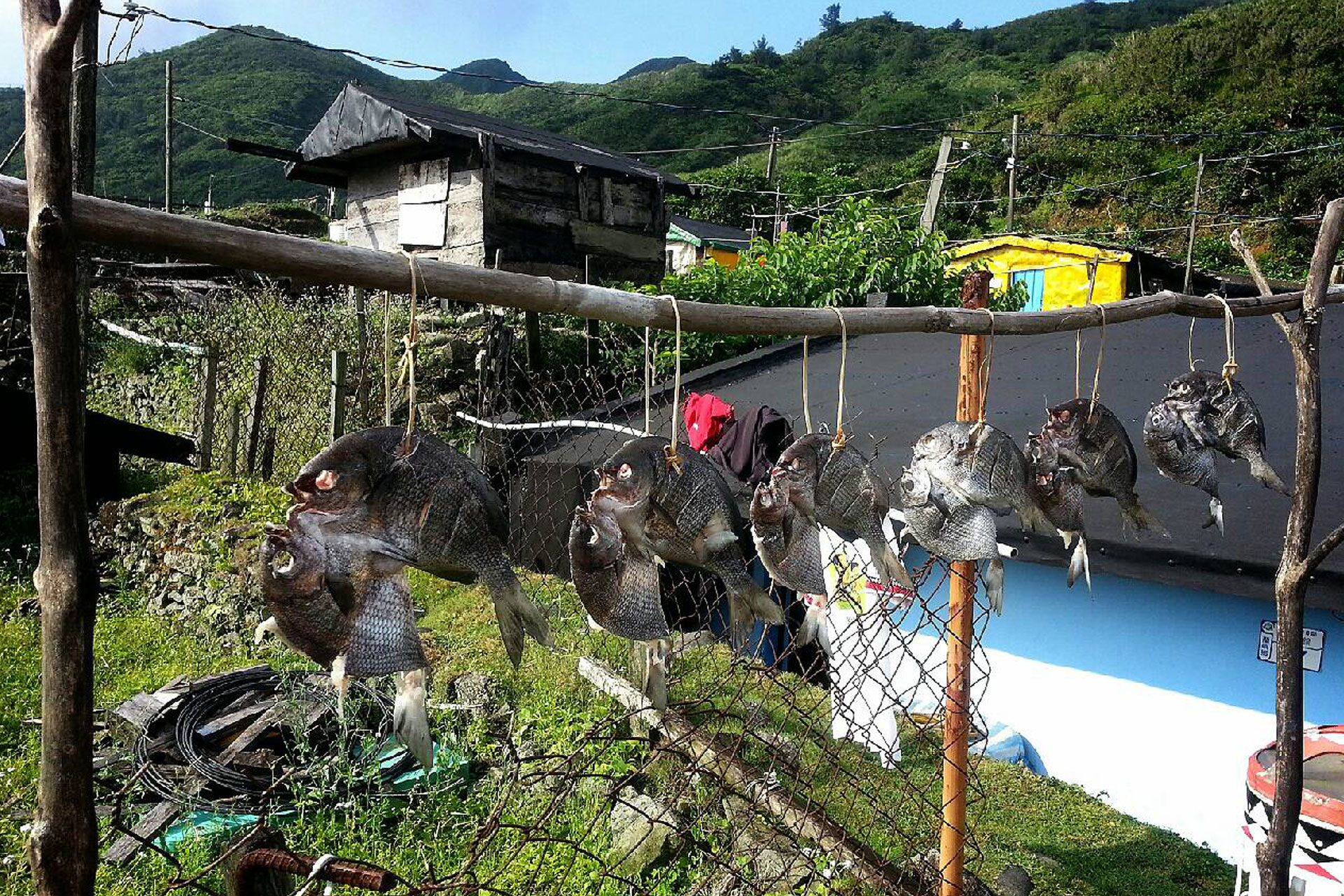 野銀農曆5月的好月節
