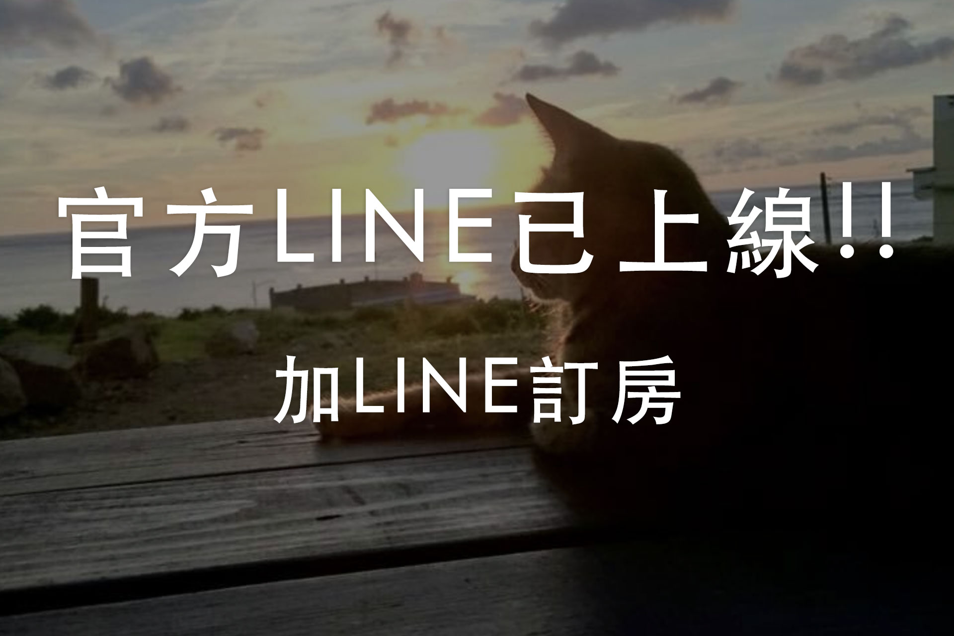 新版官方LINE 已上線!!